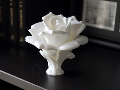 Blooming Rose (without a stem)