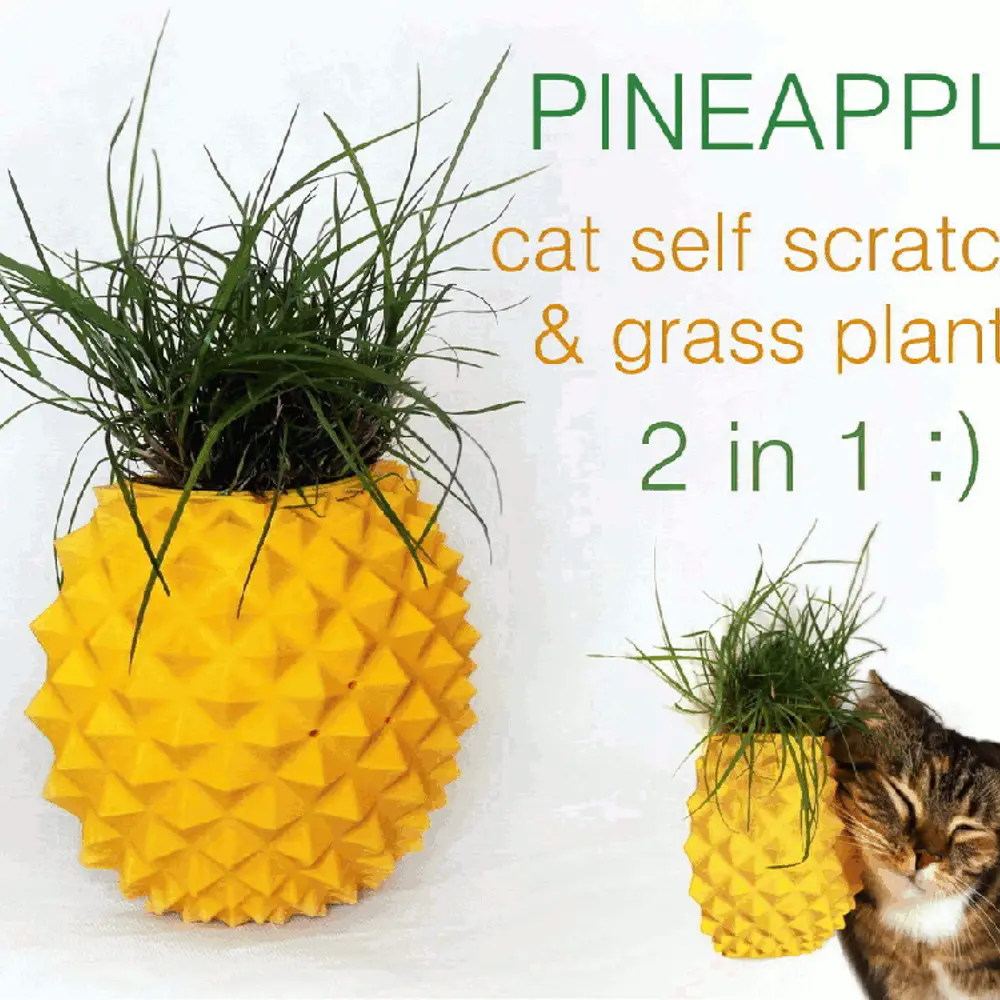 Pineapple Cat Self Scratcher & Grass Planter