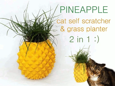 Pineapple Cat Self Scratcher & Grass Planter