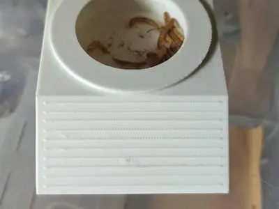 防面包虫逃逸的食盆