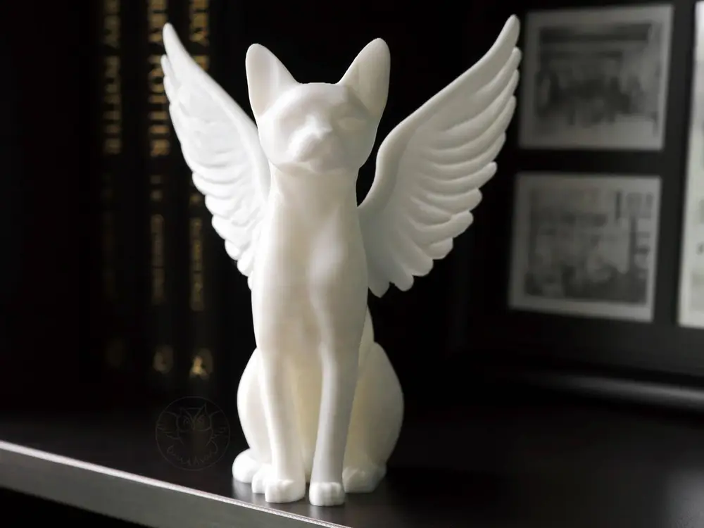 Cat with Angel Wings