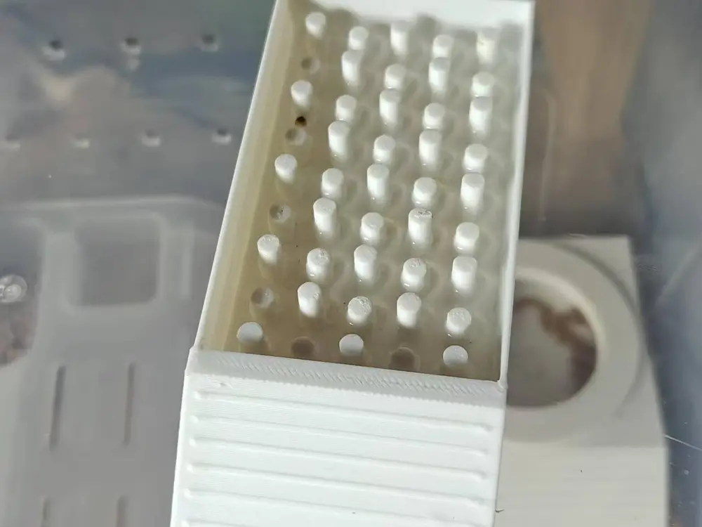 爬行动物防溺水水盆