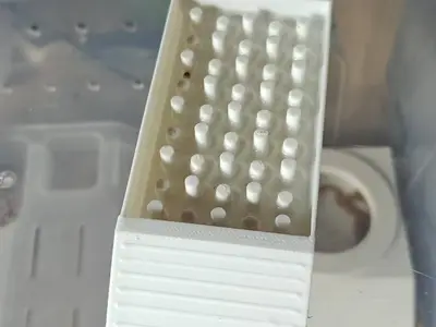 爬行动物防溺水水盆