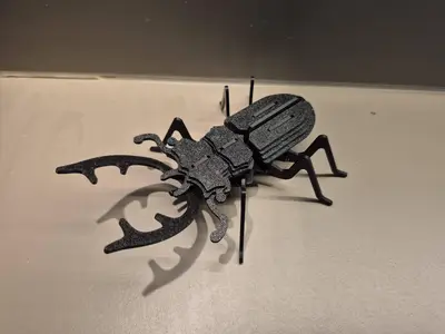 Stag Beetle 3D puzzle