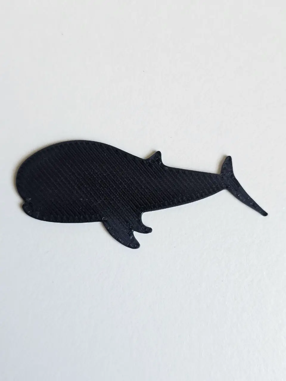 Animal ballena