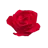 Rose magnet.3mf
