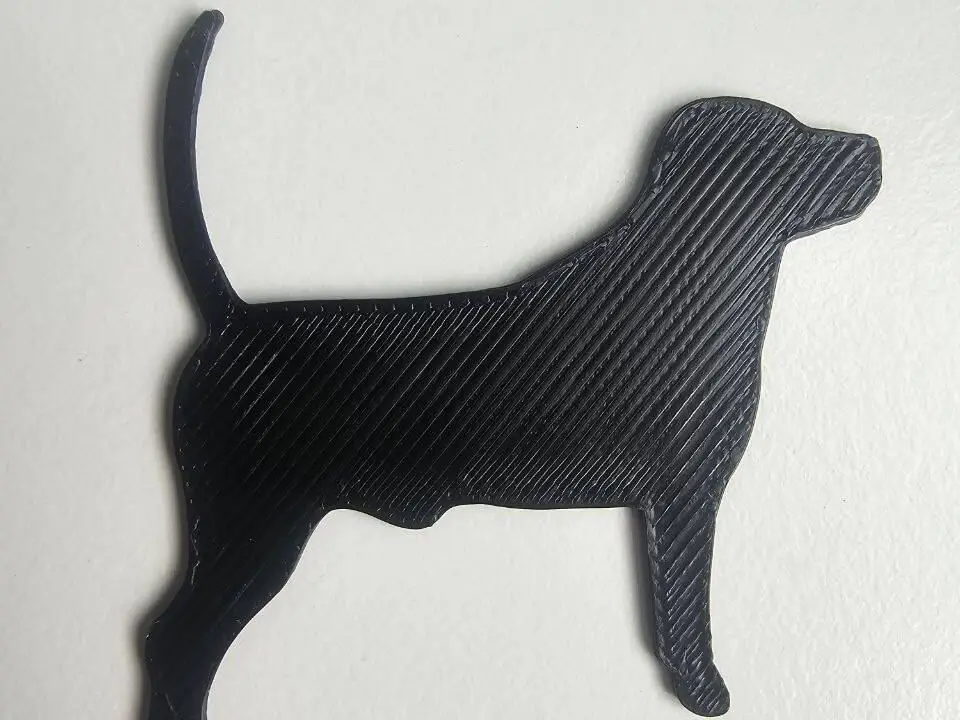 Perro