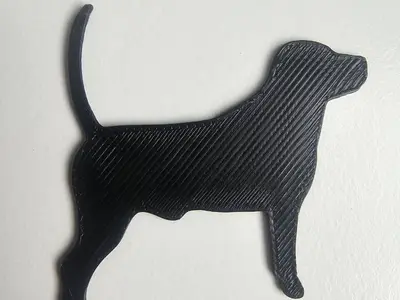 Perro