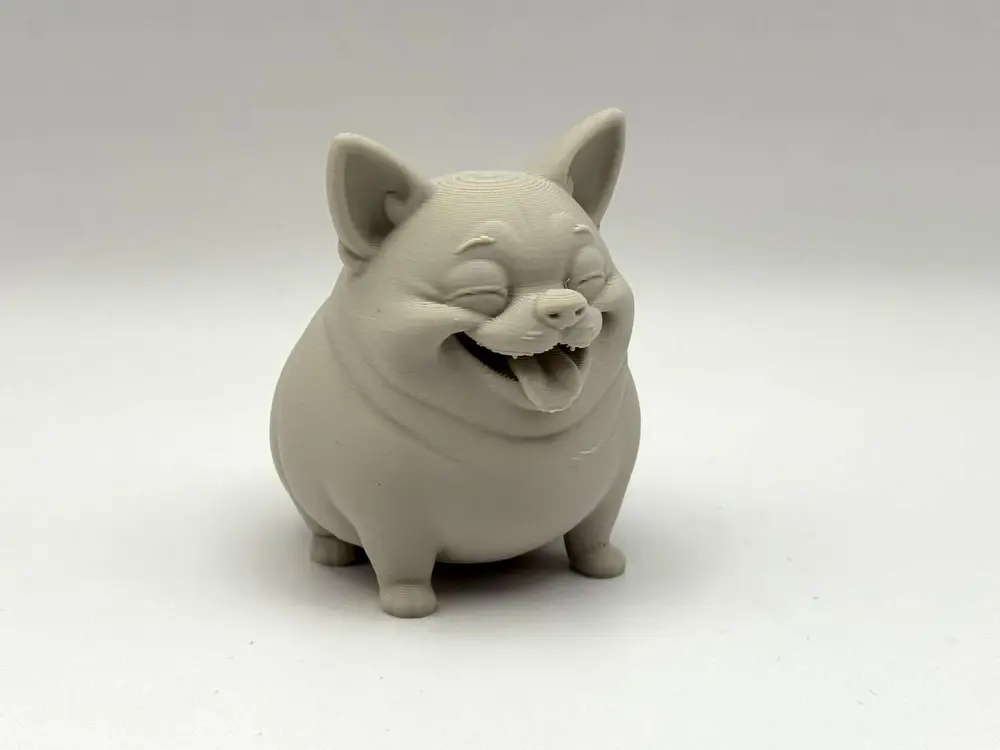 Chonk Chihuahua