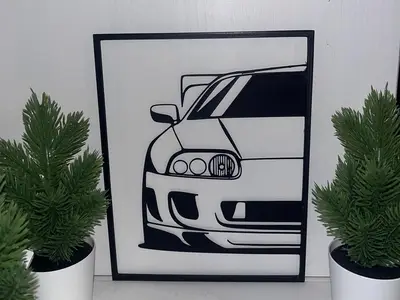 Supra 2D art