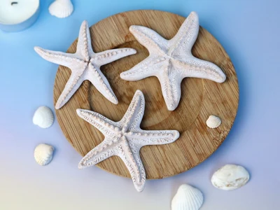 Starfish Decor (3 designs)
