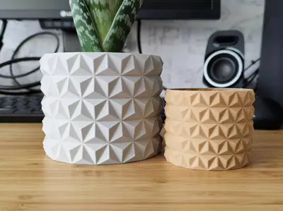 Cactus Flower Plant pot and Planter - Vase mode design