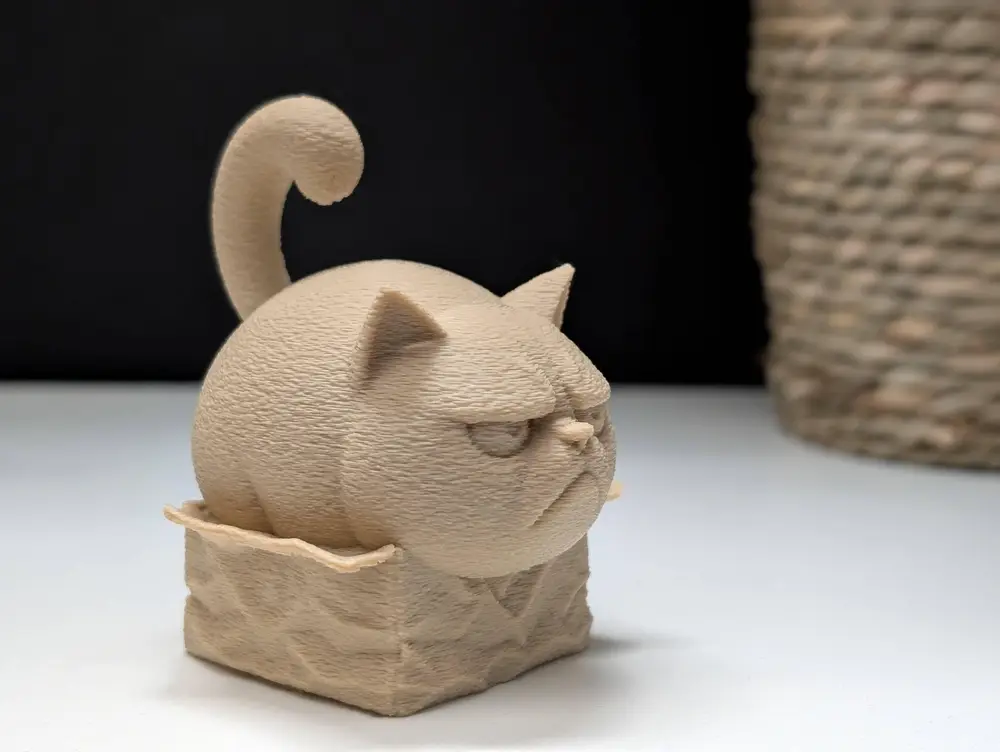 Grumpy Cat "in" a Box
