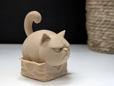 Grumpy Cat "in" a Box