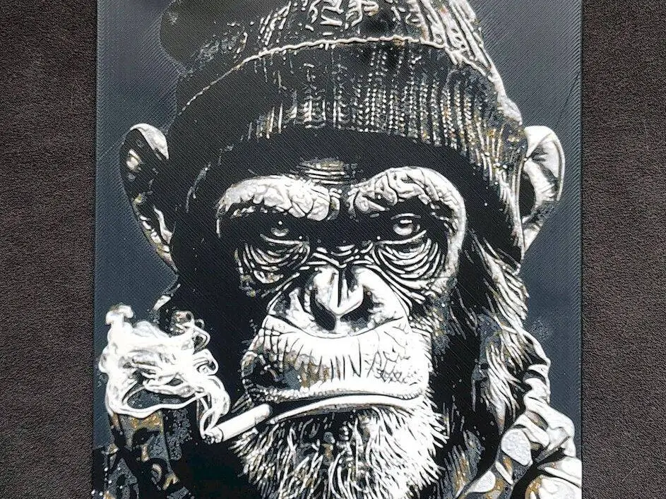 Chimpanzee