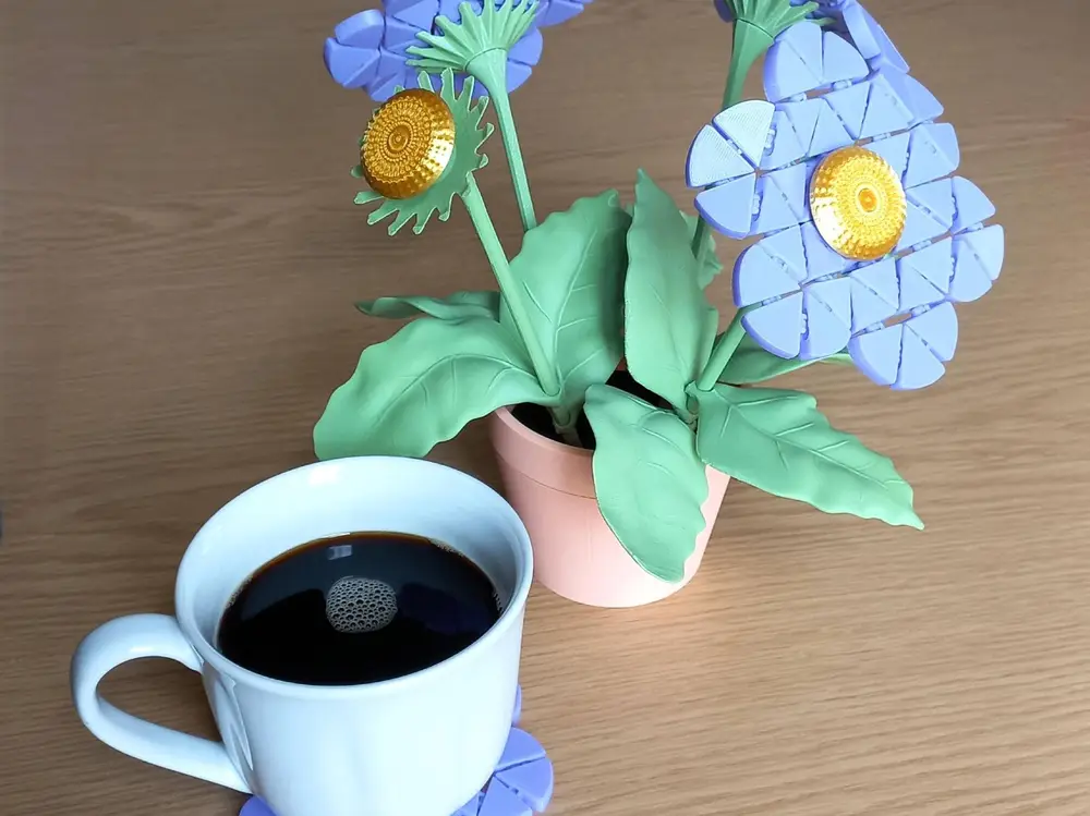 Flower Coaster Set
