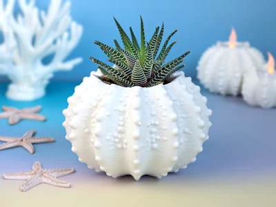 Sea Urchin Planter / Vase
