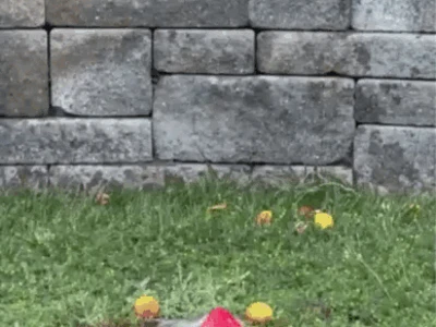 Sprinkler rocket