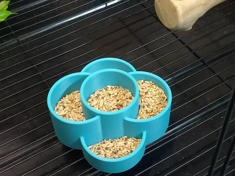 bird seed feeder