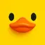TheDuckVault