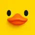 TheDuckVault