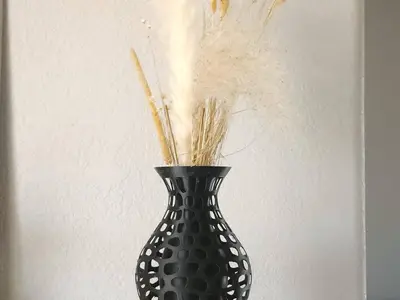 Hybrid Voronoid Vase