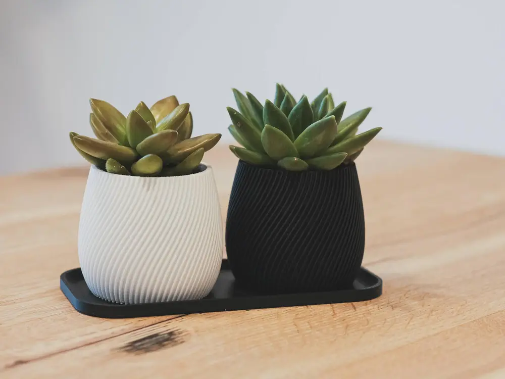 Modern Planter