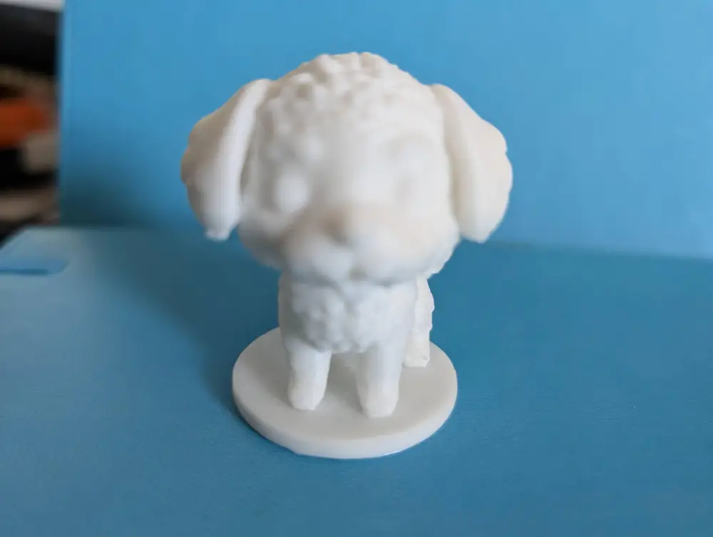 Cute Schnoodle Dog Model