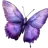 apickerell