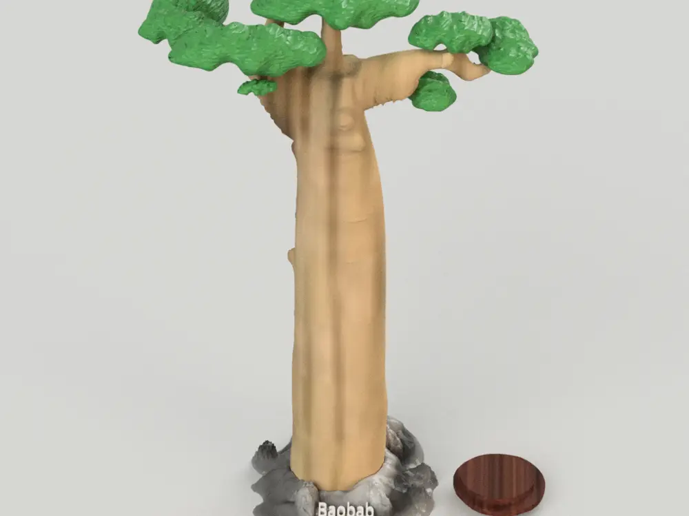 Baobab Tree With Hidden Storage
