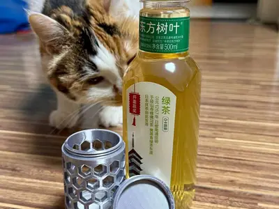 东方树叶瓶盖收纳盒