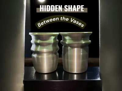 Hidden Shape Vase