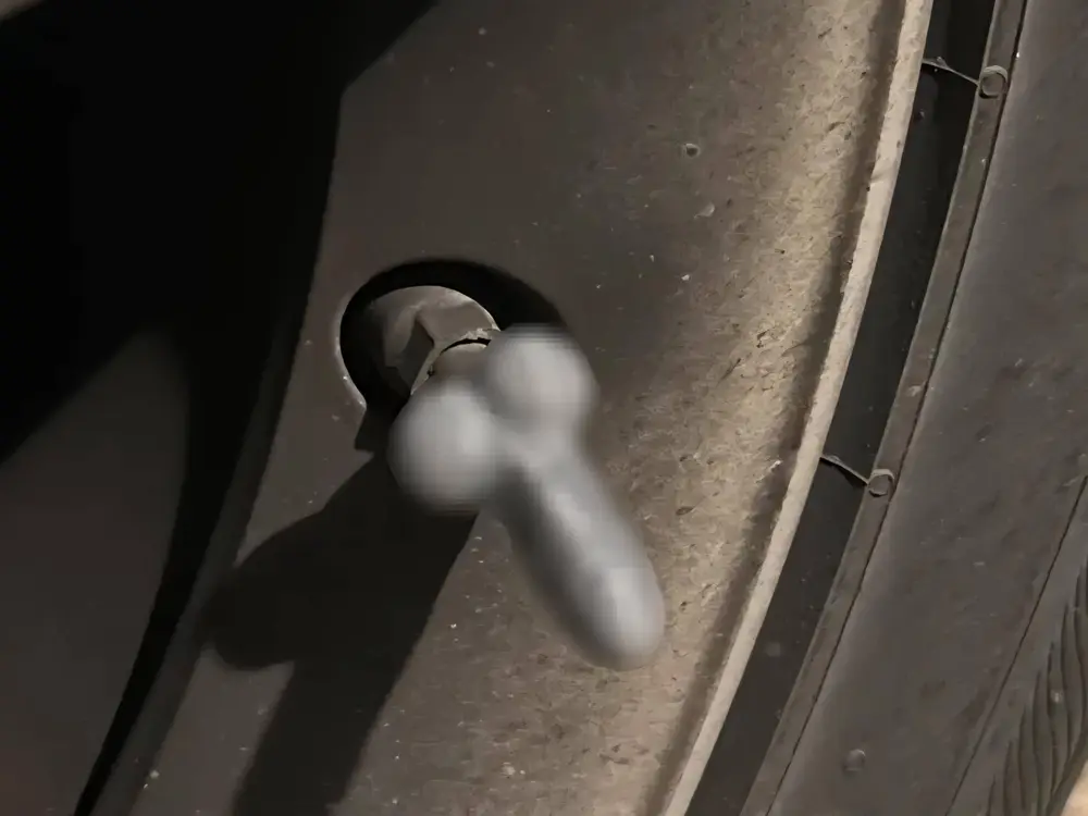 dick tire valve cap/ schwanz Reifenventilkappe / Tire Valve Stem Cap
