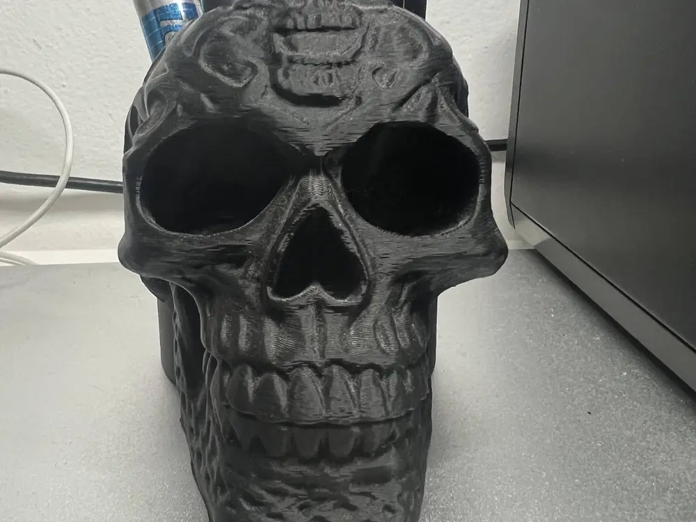 Skull Pen holder