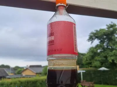 Wasp Trap For Bottles