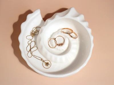 Ammonite Shell Trinket Tray