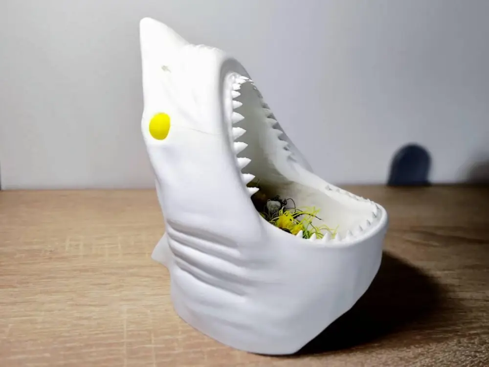 Megalodon bowl