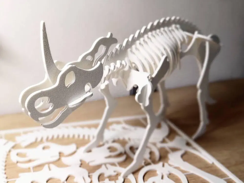 Styracosaurus Kit Card