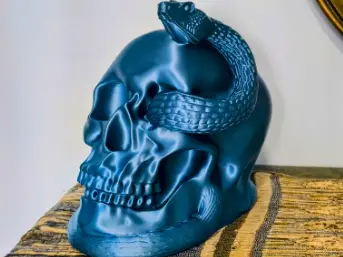 Skull with snake