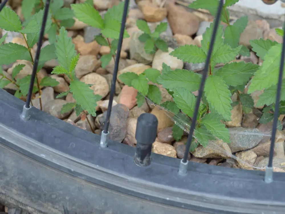 Easy to print valve stem cap