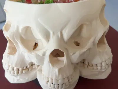 Skull Candy Holder