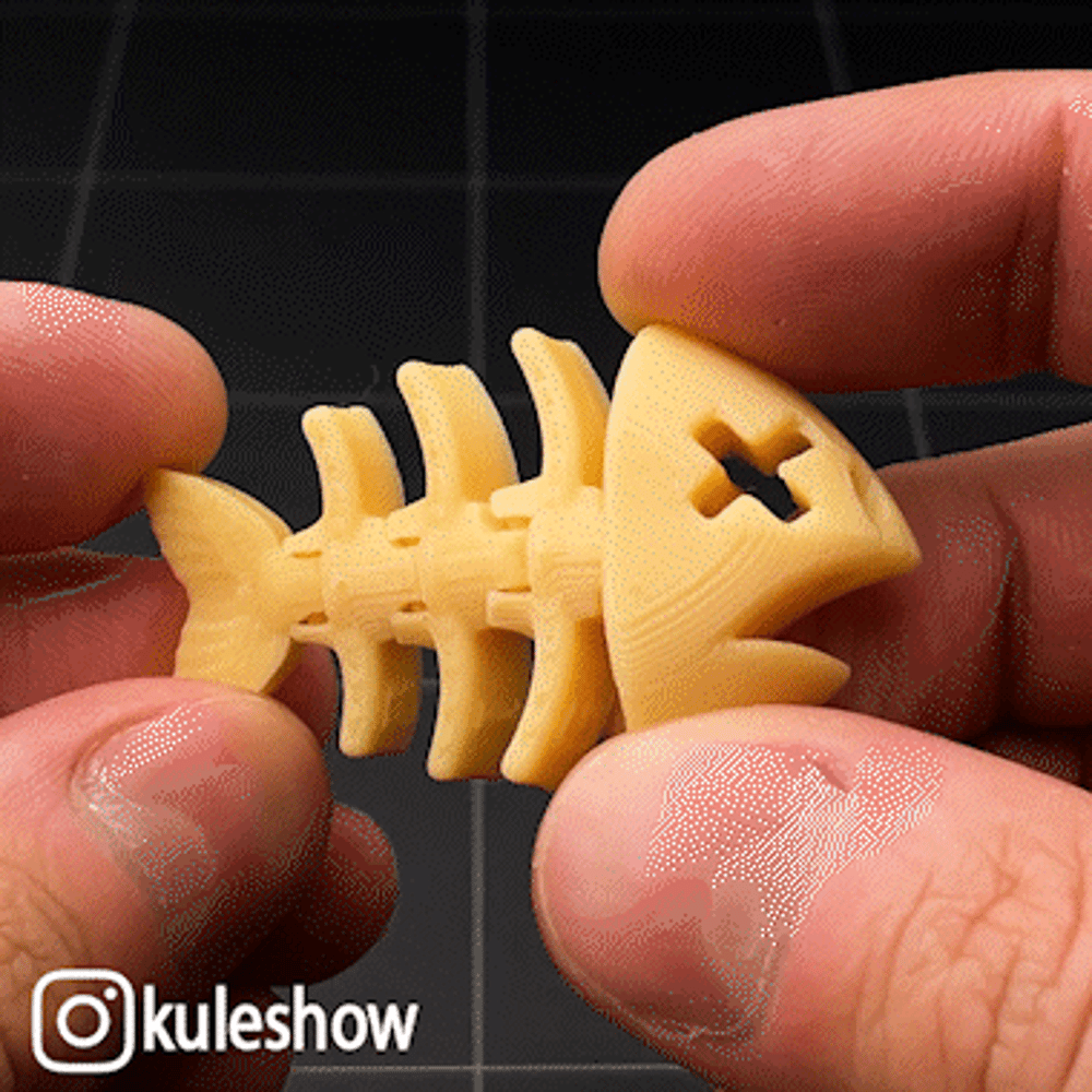 Flexi Fish Bone keychain