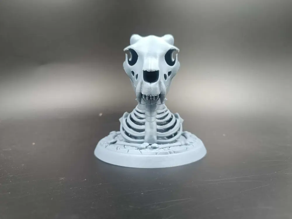 Dragon Skeleton Bust – Epic Bone Display