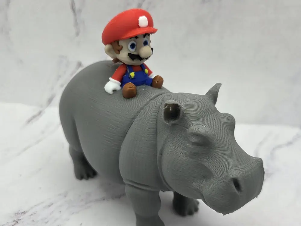 Mario Riding Hippo