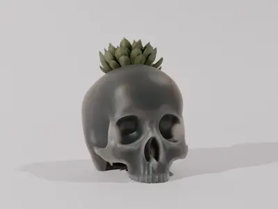 Skull Pot Plant - Home Decoration