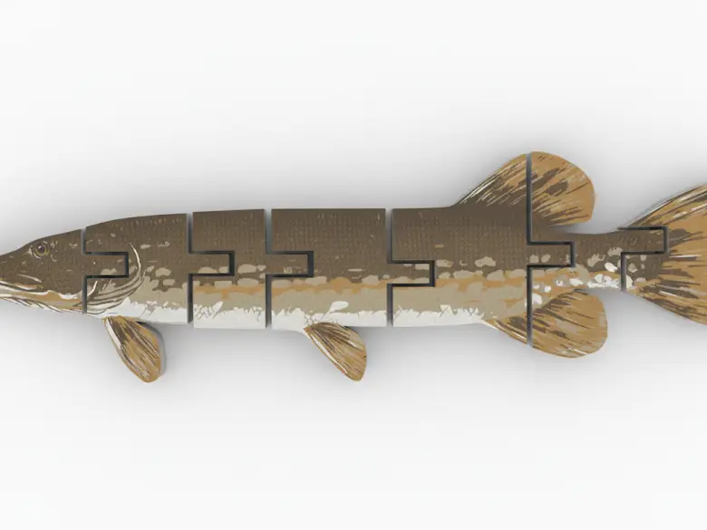 Flexi Pike