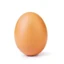 user_3405590255
