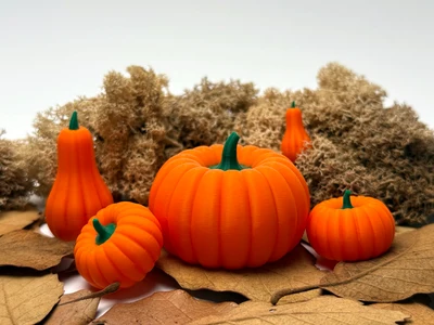 Pumpkin Decoration (small & medium)