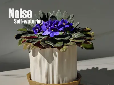 Noise Self-Watering Pot Planter