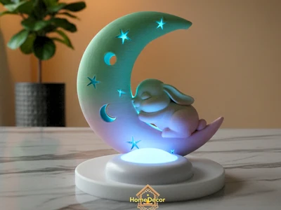 Moon Bunny Night Glow Lamp